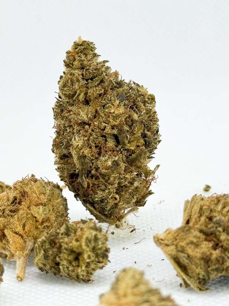 AURORA Banana Kush - Mini buds - Imagem 2